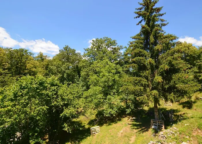 Haus Natura